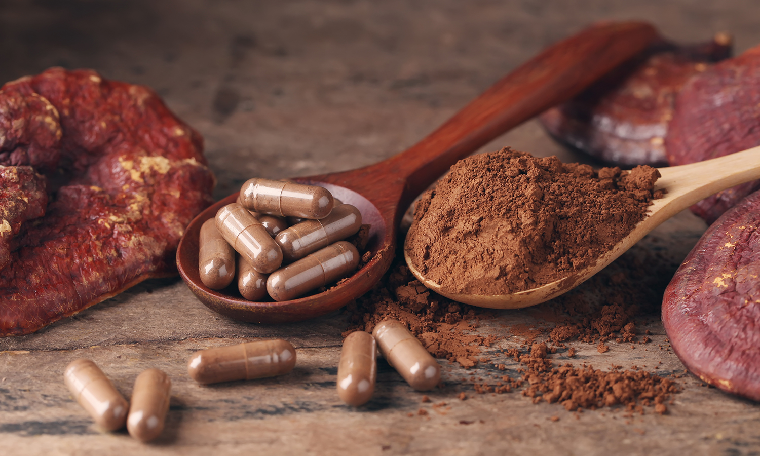 The Comprehensive Guide to the Benefits of Chaga Mushroom Supplements