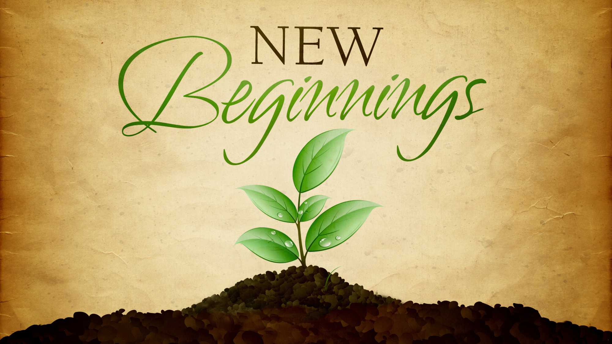 New Beginnings A Comprehensive Guide to Tru Organics' Latest Products for the New Year